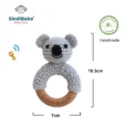 Infografik zur Ringrassel Koala mit Höhen- und Breitenangaben in Draufsicht