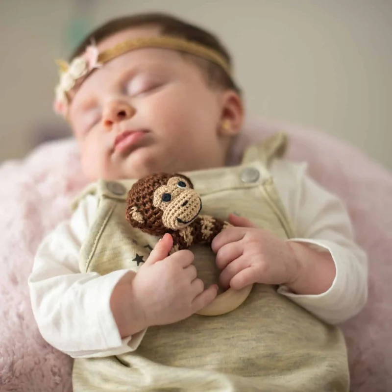 12602-ring-rattle-monkey-lifestyle-sleeping-baby-2 12602-ring-rattle-monkey-lifestyle-sleeping-baby-2